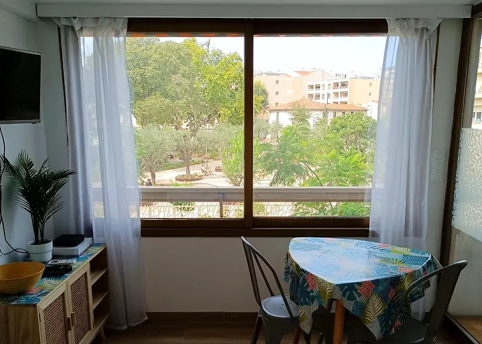 Deux Pieces Climatise Avec Balcon Vieil Lejlighed *